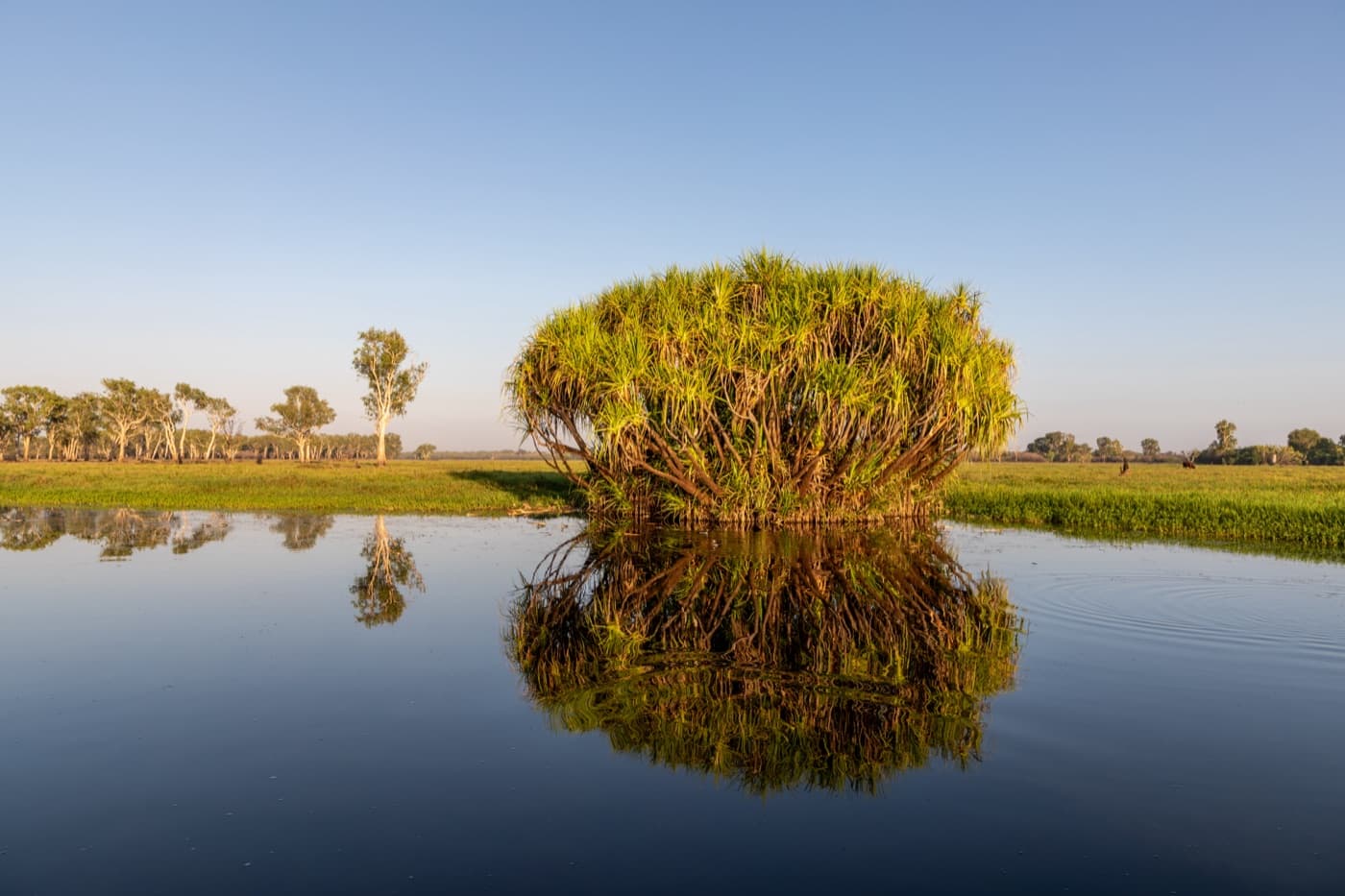 Yellow Water wetlands in Kakadu National Park