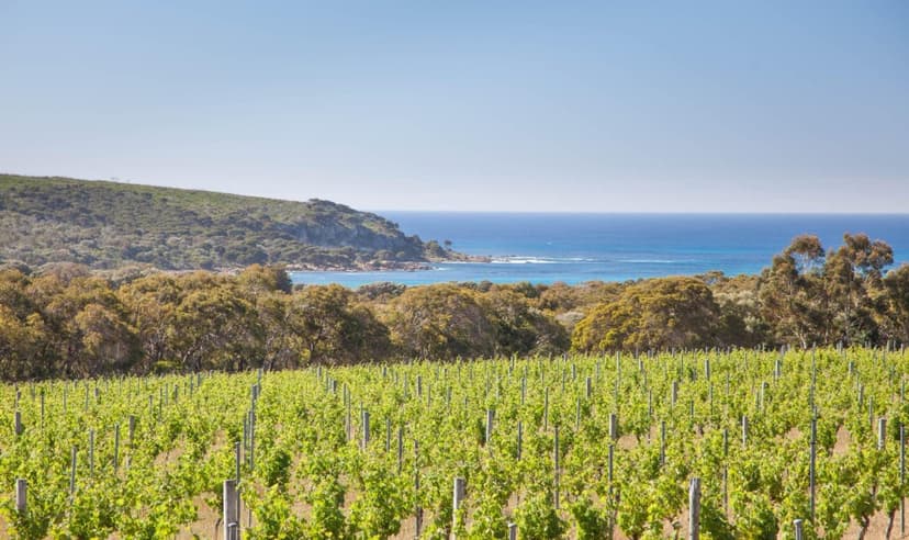 Backpacker Jobs & Farm Work in Margaret River WA 2026 | G'Day ...